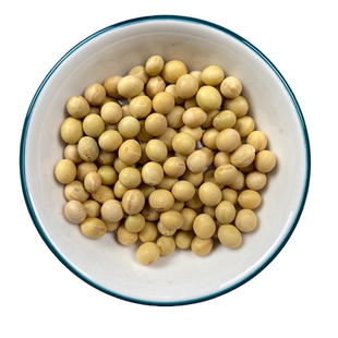 黑龙江大颗粒黄豆豆浆豆纳豆豆腐做豆浆东北特产