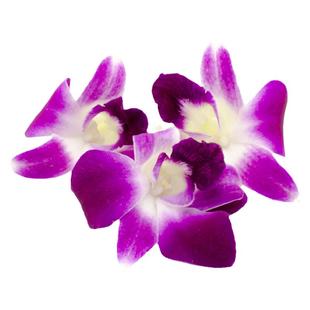 新鲜洋兰花250g 杨兰花马兰花 西餐火锅酒店摆盘装饰点缀花草鲜花