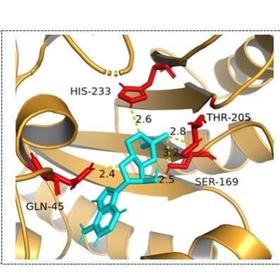 分子对接,批量对接服务