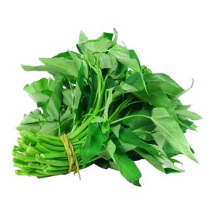 大叶空心菜种子圆叶空心菜长藤藤藤菜四季春夏季阳台盆栽蔬菜种子