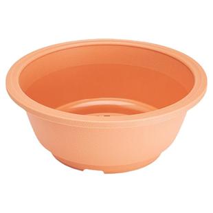 花一天堂多肉加厚韩式塑料仙人球根龙舌兰花盆景天老桩群生矮胖盆