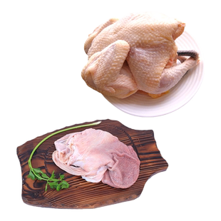 王明公土猪肉猪大肚猪肚鸡一只单只300克-500克土鸡单只850克