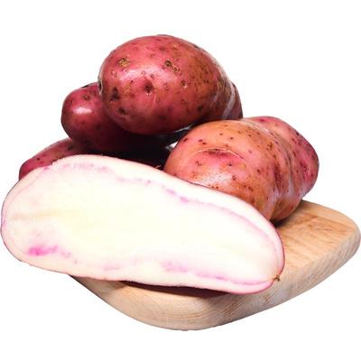 云南红皮土豆新鲜农家现挖