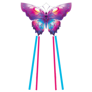 新款潍坊鸿运风筝老鹰蝴蝶儿童卡通风筝彩虹长尾飞机翼龙双尾三角