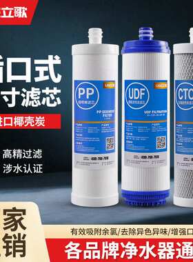 净水器插口式滤芯家用过滤器前置10寸PP棉插入式五级净水机活性炭