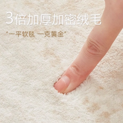 地毯客厅2025新款轻奢毯沙发现代高级地垫简约床边免茶几打理卧室