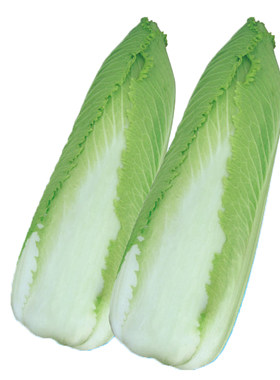 原玉田二包尖白菜真好吃老品种