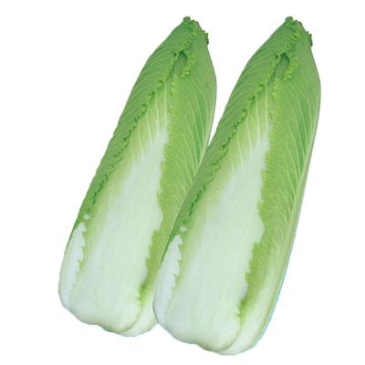 原玉田二包尖白菜真好吃老品种