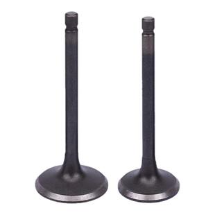 适用大地鹰王DD250本田CA250金太子摩托车发动机进气门排气门油封