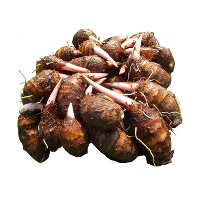 上海崇明特产农家香酥现挖芋艿