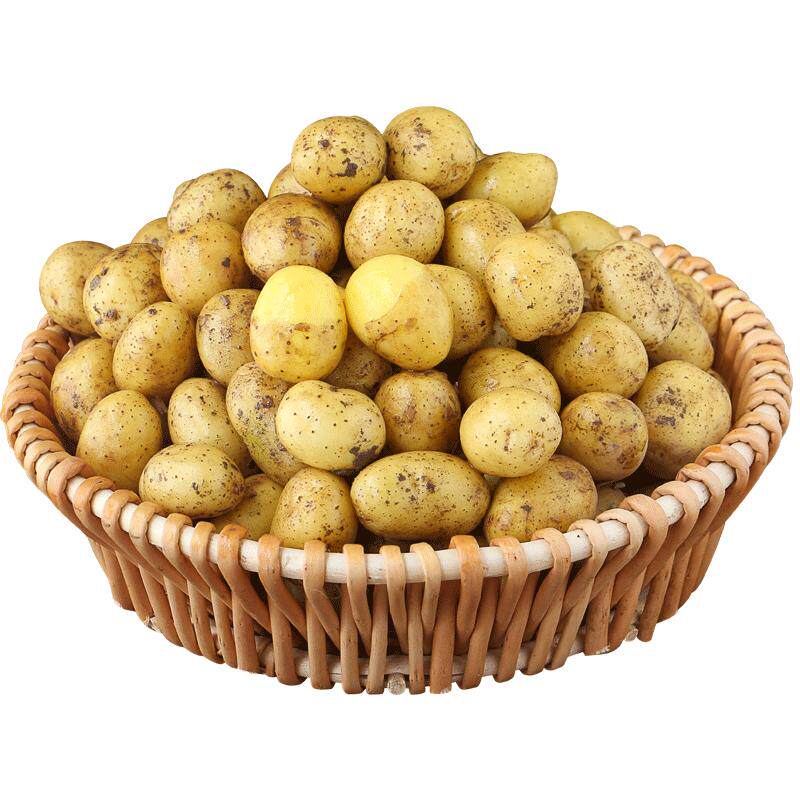 恩施小土豆新鲜蔬菜农家高山洋芋