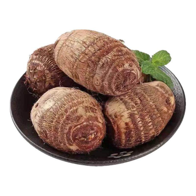 新鲜牛奶小芋头10-20个农家自种
