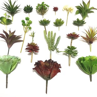 仿真多肉植物假花绿植金钱串龙蛇兰品种齐全墙面装饰造景摆件花艺