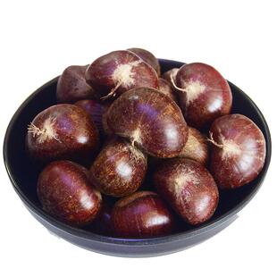 2025年迁西鲜板栗生新鲜新鲜油栗燕山野生小毛栗板栗子生新鲜河北