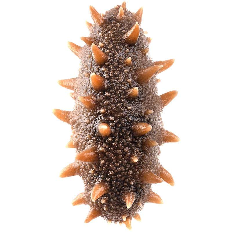 【3S款】大连海参正品官方旗舰店开袋即食袋装一斤辽刺参送礼礼盒