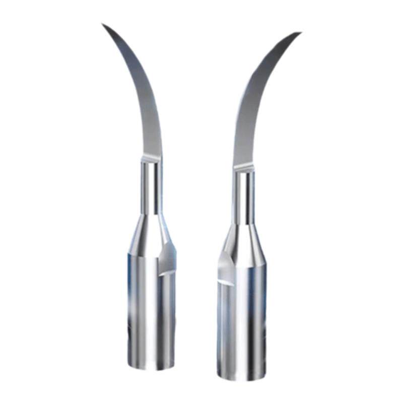 CURVYMOON/月儿弯弯超声波洗牙器牙结石去除神器牙齿清洁工具配件