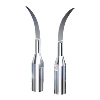 CURVYMOON/月儿弯弯超声波洗牙