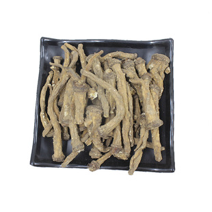 蒲公英根茶野生特整根级新鲜长白山婆婆丁茶蒲公英根野生500g天然