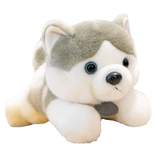 高档小灰狗公仔毛绒玩具哈士奇玩偶儿童布娃娃床上卧室摆件可爱女