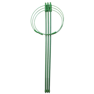 爬藤架园艺花园植物花支架花架藤蔓支柱铁线莲月季攀爬架盆栽