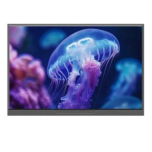 便携显示器15.6寸便携屏笔记本扩展14寸外接屏/ps4/switch高清ips