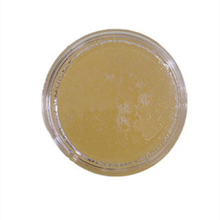 2025纯正全封盖无添加自产冬蜜结晶中锋蜜土蜂蜜枇杷花蜂蜜1000克