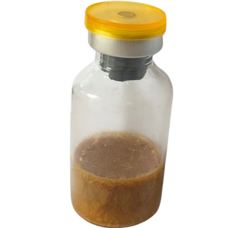 乳酸菌复合芽孢杆菌硝化细菌浓缩