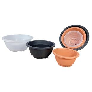 多肉植物塑料花盆景天老桩群生矮胖盆仙人球根盆景盆韩式磨砂肉盆