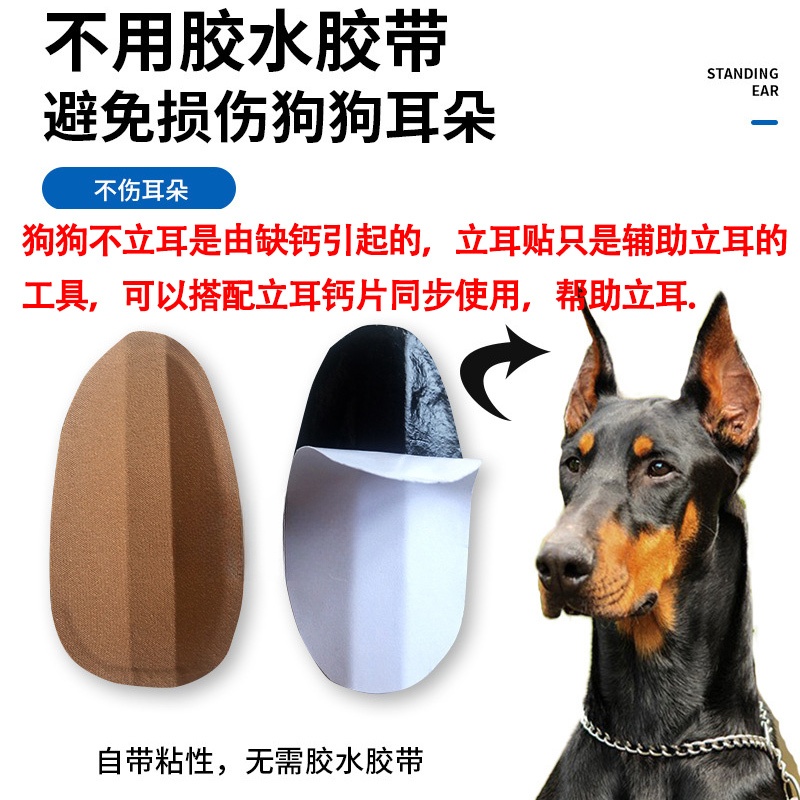 雪纳瑞专用狗狗立耳器神器小狗耳朵矫正辅助器支架固定器幼犬用品