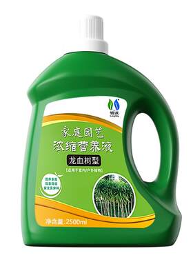 领沃龙血树营养液专用肥水培室内