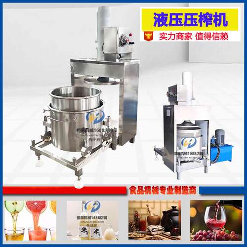 网红希腊冷萃酸奶压榨机 新疆奶酪乳清过滤分离机 混合奶粉压榨机