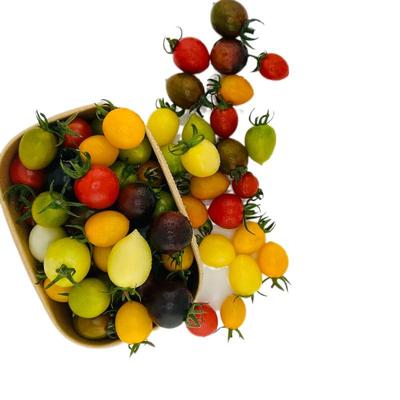 顺丰小番茄西红柿品质保证