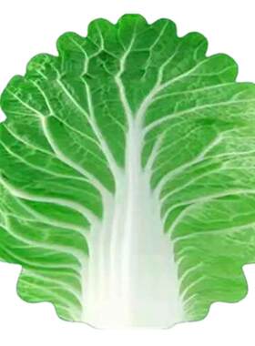 大白菜造型法兰绒毛毯圆形包被