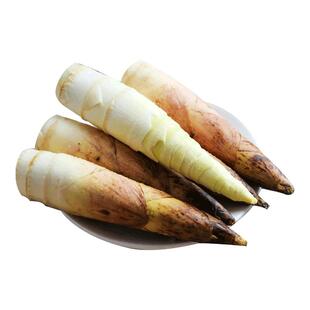 临安天目雷笋新鲜现挖高山笋尖鲜嫩油焖笋整箱农家菜竹笋春笋包邮