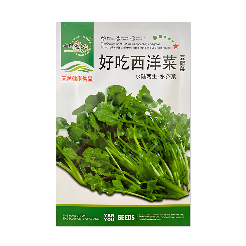 中研盛优好吃西洋菜种子