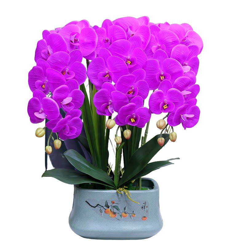 仿真花高档保湿手感蝴蝶兰客厅装饰花电视柜玄关茶几假花酒柜摆设