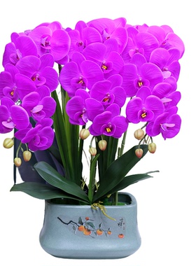 仿真花高档保湿手感蝴蝶兰客厅装饰花电视柜玄关茶几假花酒柜摆设