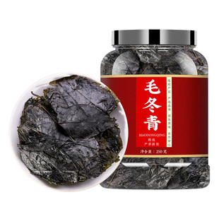 毛冬青中药材正品500g毛东青中药泡水非野生特级毛冬青云南野生茶
