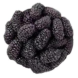 2026年【超大颗粒】新疆桑葚干500g特产级药免野洗黑桑椹果材泡茶