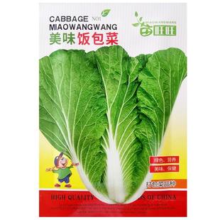 打饭包菜叶东北大白菜叶饭包叶即食蘸酱蔬菜包饭菜大叶美味饭包菜