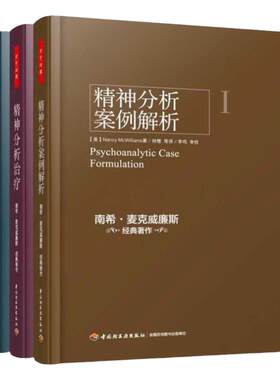 精神分析案例解析全三册