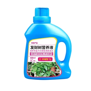 龙血树营养液叶子发黑金刚龙须树专用肥料花肥太空铁肥料盆栽通用