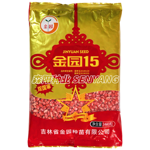 金园15玉米杂交种双国审大田饲料玉米红轴马齿粘包谷春播苞米1331