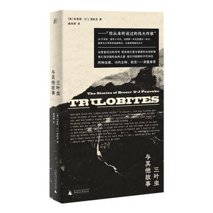 三叶虫与其他故事 布里斯·D'J.潘凯克著 姚向辉译 一頁folio书系 美国版都柏林人 书写爱与被爱的永恒欲望 广西师范大学出版社