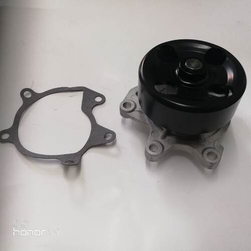 【询价】逍客MR20DD发动机水泵2.0L.雷诺太空V水泵，高频淬火适用