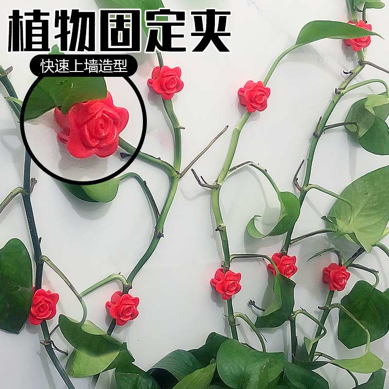 爬墙绿植绿萝固定夹玫瑰花朵造型卡扣藤蔓植物攀爬定位器粘贴式