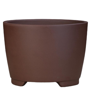 宜兴紫砂特价圆柱盆景清仓君子兰小吊兰花盆绿萝多肉简约陶瓷盆