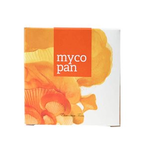 捷克energy安能聚内分泌能源 棕瓶内分泌调理女性月经妇科问题