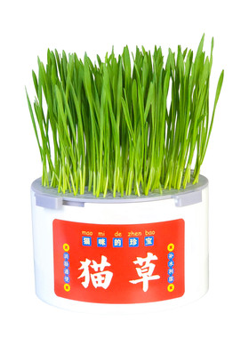 旋扣猫草盆(3.0款/3.1款/方便老客户下单/会尽快发货）