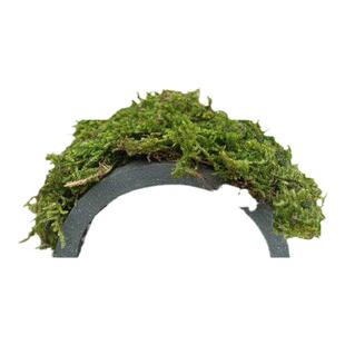 螃蟹躲避洞寄居蟹乌龟躲避爬宠陶土黄缘用品造景晒台洞穴苔藓瓦片